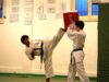 ryoku-karate-mawashi-geri